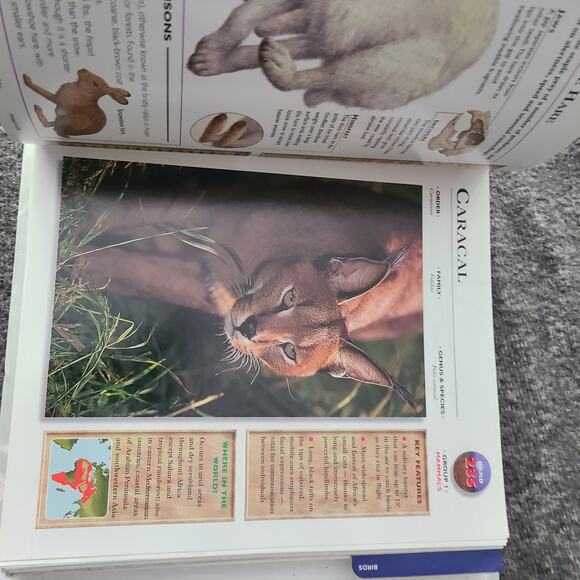 WILDLIFE EXPLORER Set 2 Binders w/Fact Cards Animal Birds Science Home School - Picture 14 of 15